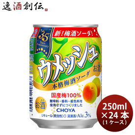 チョーヤ ウメッシュ 3% 本格梅酒ソーダ 250ml × 1ケース / 24本 チューハイ 梅酒 新発売 ■3/3日以降のお届け