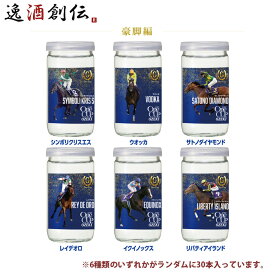 【お買い物マラソン期間中限定！エントリーでポイント5倍！】日本酒 大関 上撰 ワンカップ G-OneCup 豪脚編 180ml × 1ケース / 30本 G-One G1レース 競馬 新発売 10/10以降順次発送致します