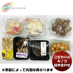 厡 ̃LmRlߍ킹 cs  VN {  Zbg 蕨 p[eB ̂EMtgΉs