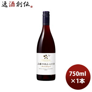 ԃC Vg[EV R}XJbgEx[A 750ml 1{ {C R 