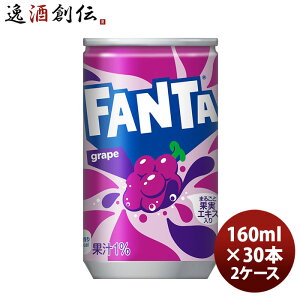 t@^ O[v 160Mʁi1P[Xj 160ml 30{ 2P[X Mtg e a v[g ̂EMtgΉs
