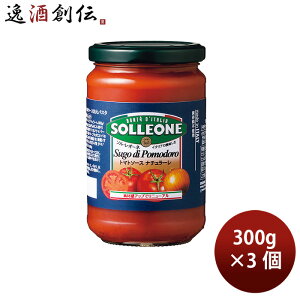  \EI[l g}g\[XEi`[ 300g 3 pX^\[X C^A XpQeB[ ̂EMtgΉs