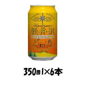 THE 軽井沢ビール アルト 350ml 6本 ☆ ギフト 父親 誕生日 プレゼント お酒