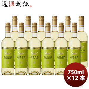 XyC l̗  750ml 12{i1P[Xj Mtg e a v[g