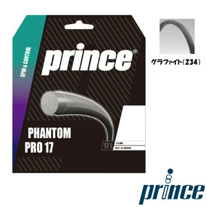 Prince�@�t�@���g�� �v�� 17�@PHANTOM PRO 17�@ 7JJ036�@�d���e�j�X�@�X�g�����O