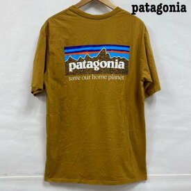 patagonia パタゴニア 半袖 Tシャツ T Shirt patagonia 2021fw P-6 Mission Organic T-Shirt 37529 M【USED】【古着】【中古】10107460