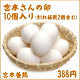 千葉県館山市産宮本さんの卵10個入り(割れ補償2個含む)