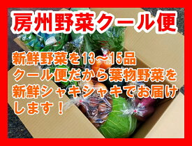 房州野菜クール便パック（新鮮シャキシャキ葉物野菜を必ず含むセット）、合計13～15品の野菜をお届け！必ず葉物が欲しい方はこちらのセットをお買いもとめください。