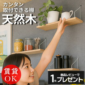 【4500件レビュー突破】【楽天1位】ウォールシェルフ 賃貸 取り付け 壁 棚 穴あけない 北欧 壁掛け 壁付け かざり棚 飾り棚 石膏ボード 壁面収納 アイアン 棚 洗面所 キッチン トイレ 玄関 リビング 子供 おしゃれ シェルフ ウォールラック