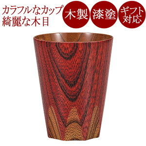 t[Jbv ؎q // ؐ h@FC2-10/11/12