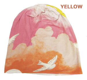 {w~AY@b`Lbv@CLOUD PIGEON(NEhsWjȁے@`[tɂĂ܂yɉ_̍ԂԎpfUCG肪ƂĂǂXgb`nł