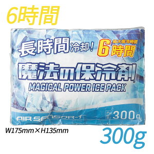 013 ۗ 300g N_} 2025SS @ۗ̕ ԕۗ