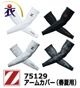 75129 A[Jo[ W[hS t  Y ڐG⊴ z R Xgb` RvbV Z-DRAGON d