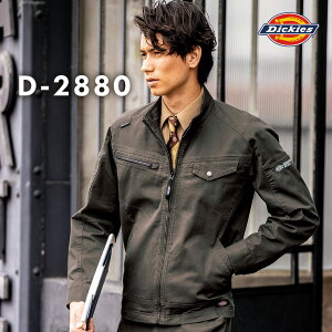 Dickies fBbL[Y D2880  WPbg Xgb` Y fB[X H~ ƕ ƒ 100NLOf