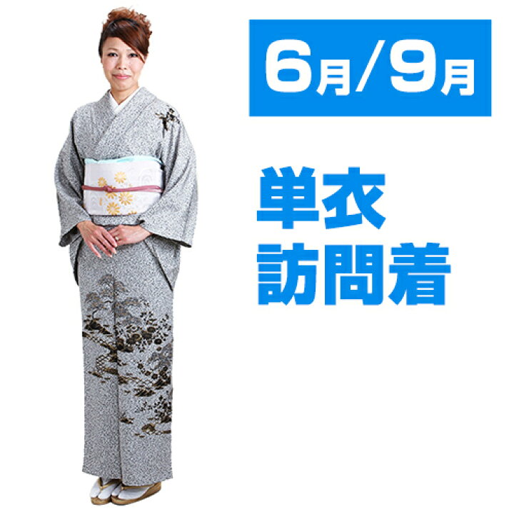 楽天市場】【訪問着】単衣（6月/9月向け着物）石目グレー色 NT-302 