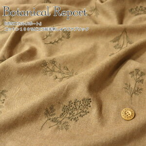 wBotanical Report{^jJ|[gxRbg100rGNюhイt@ubNnF110cmihJLF100cmjfށFRbg100H~/ԕ/hJ/GuC_[//EFA