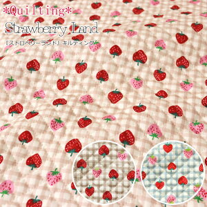 y1܂Ń[։\2ȏ͑zցzyLeBOzwStrawberry Land Xgx[hxnF105cm/ʕ/݃J[/̎q/LbY/IbNX///w/