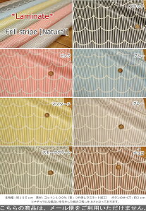 yۊiɂĂmFzy~l[gzwtXgCvi`xirj[R[eBOjnF105cmk/̎q/j̎q/LbY/