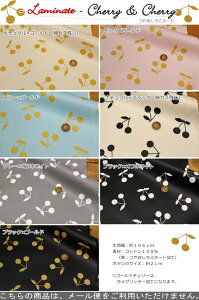 yۊiɂĂmFzy~l[gzwCherry & Cherry`F[`F[xirj[R[eBOjmg[/b/tX/̎q/q/