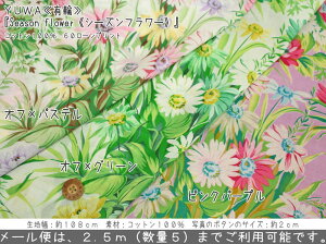 y50cmPʁzYUWALցwSeason flowersV[Yt[txRbg10060[vgfށFRbg100@nF108cmt[/̎q/ԕ/VV/EFA[/LbY/n/nh