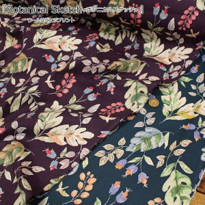 wBotanical Sketch{^jJXPb`xE[rGvgfށFRbg57[35E[8nF102cmH~/ԕ/̎q/LbY/l/EFA[//CeA/nhC