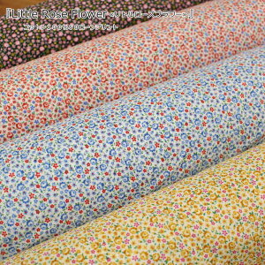 wLittle Rose Flower჊g[Yt[xRbg10060[vgfށFRbg100@nF108cmԕ/̎q/LbY/xr[/l//nhCh/Â/EFA[//C