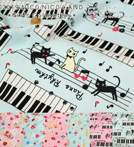 2019 NICO NICO LANDijRjRhjwK[YRNVxXC[co[isAmRbg100IbNXvgfށFRbg100@nF110cm/̎q/LbY//