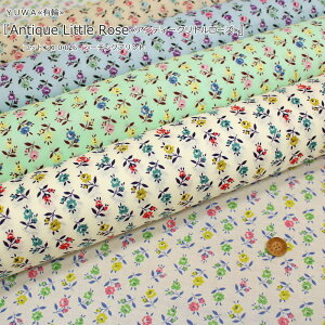 YUWALցwAntique Little RoseAeB[Ng[YxRbg100V[`OvgfށFRbg100@nF106cmԕ/̎q/LbY/l/EFA[//nhCh/