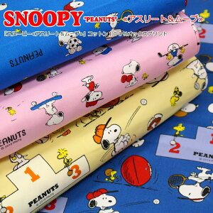 wXk[s[AX[g[uxRbg100IbNXvgfރRbg100@nF110cmLN^[/TI/̎q/LbY/nhCh//w/EFA[//C