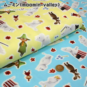 w[~sMOOMIN-VALLEYtxRbg100IbNXvgfށFRbg100@nF110cmLN^[/[~/k/Aj/er/邢//nhCh///w/E