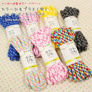 お子様の通園通学グッズ作りに♪『カラーひもプラス(中)』≪レインボー&ミックス≫太さ:約5mm巾 長さ:2.5m巻素材:アクリル100%コード/体操服袋/コップ袋/巾着袋/入園/入学/ハンド