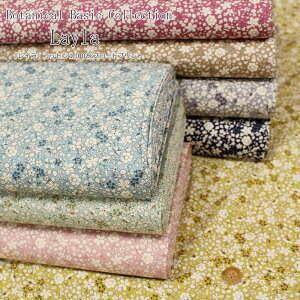 {^jJx[VbNCollectionwLayla჌CxRbg100u[hvgfރRbg100@nF108cmԕ/̎q/LbY//EFA[//nhCh//