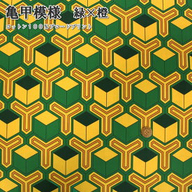 楽天市場 義勇 生地の通販