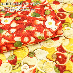 wastin muhleriAXeB[[jxႢCt[c~bNXRbg100IbNXCNWFbgvgfށFRbg100@nF110cmʕ//nhCh/