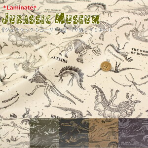 yۊiɂĂmFzy~l[gzwWVbN~[WAxirj[R[eBOjnF106cm//obO/nhCh/