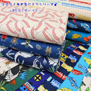 2021NCɓV[YwBOY{[CxRbg100IbNXvgfށFRbg100@nF110cm/gC/j̎q/LbY//w/EFA[//CeA/