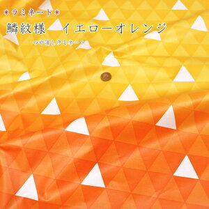 yۊiɂĂmFzy~l[gzwؖl@CG[IWxirj[R[eBOjnF108cma/Op/u[h/LbY//