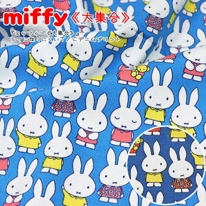 w~btB[WxVɂȂɂT/CfjvgfށFRbg60|GXe40nF110cmfBbNu[i/G{/̎q/LbY/ȃ|//w//EFA[/