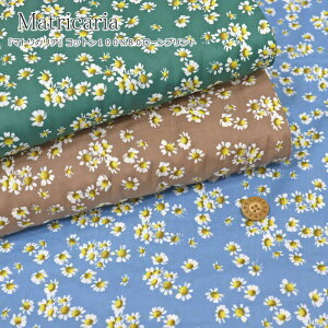 wMatricaria}gJAxRbg10080[vgfށFRbg100@nF108cmԕ/̎q/LbY/xr[/l//nhCh/Â/EFA[//CeA/