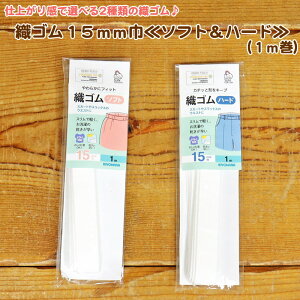 dオ芴őIׂ2ނ̐DSwDS15mmЁ\tgn[hxi1mj