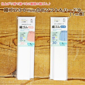 dオ芴őIׂ2ނ̐DSwDS30mmЁ\tgn[hxi1mj