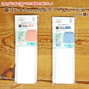 dオ芴őIׂ2ނ̐DSwDS40mmЁ\tgn[hxi1mj