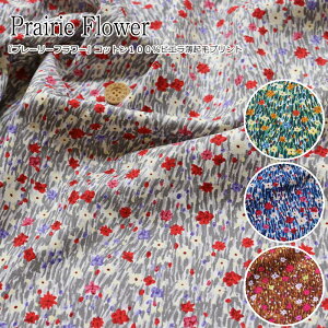 wPrairie Flowerv[[t[xRbg100rGNуvgfށFRbg100@nF108cmH~/ԕ/̎q/LbY/l//EFA[//CeA/nhCh/