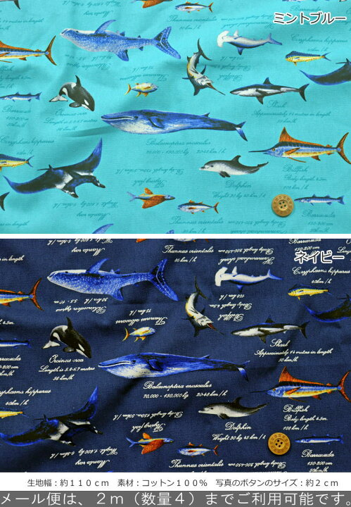 楽天市場 海の生き物図鑑2 コットン100 オックスプリント素材 コットン100 生地幅 約110cm魚 イルカ 男の子 キッズ 大人 綿 入園 入学 小物 ウェアー インテリア ハンドメイド 手づくり 手芸と生地の店 いすず 楽天市場 海の生き物図鑑2 コットン100 オックスプリント素材 コットン100 生地幅 約110cm魚 イルカ 男の子 キッズ 大人 綿 入園 入学 小物 ウェアー インテリア ハンドメイド 手づくり 手芸と生地の店 いすず
