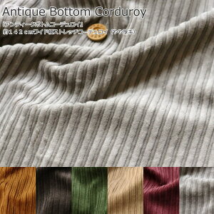 wAeB[N{gR[fCx142cmChXgb`R[fCijfށFRbg97|E^3@nF142cmj̎q/̎q/LbY/l/Â/nh