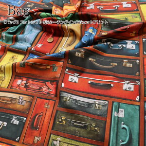 wBagobOxRbg100V[`OCNWFbgvgfށFRbg100@nF108cmJo/̎q/j̎q/LbY/l//w//EFA[//CeA/nhC