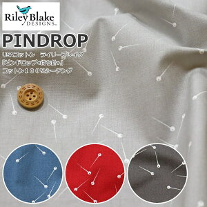 USARbg@C[uCNw shbv҂jxRbg100V[`Ovg/q/l/nhCh/EFA[//CeA/