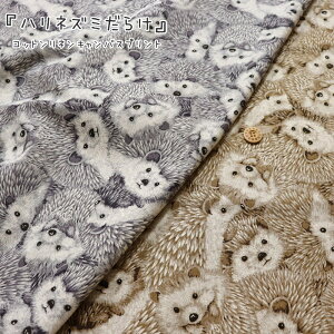 wnlY~炯xRbglLoXvgfށFRbg80l20@nF108cm͂˂/̎q/j̎q/LbY/l/Ȗ//w/EFA[//Â/n