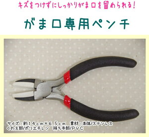 LYɂ肪܌𗯂߂w܌py`xyԁz