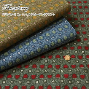 �wRaspberry�჉�Y�x���[��x�R�b�g��100���V�[�`���O�v�����g�f�ށF�R�b�g��100���@���n���F��108cm���/���/���̎q/�L�b�Y/�x�r�[/��l/��/�E�F�A�[/����/�C���e���A/�n���h���C�h/����/